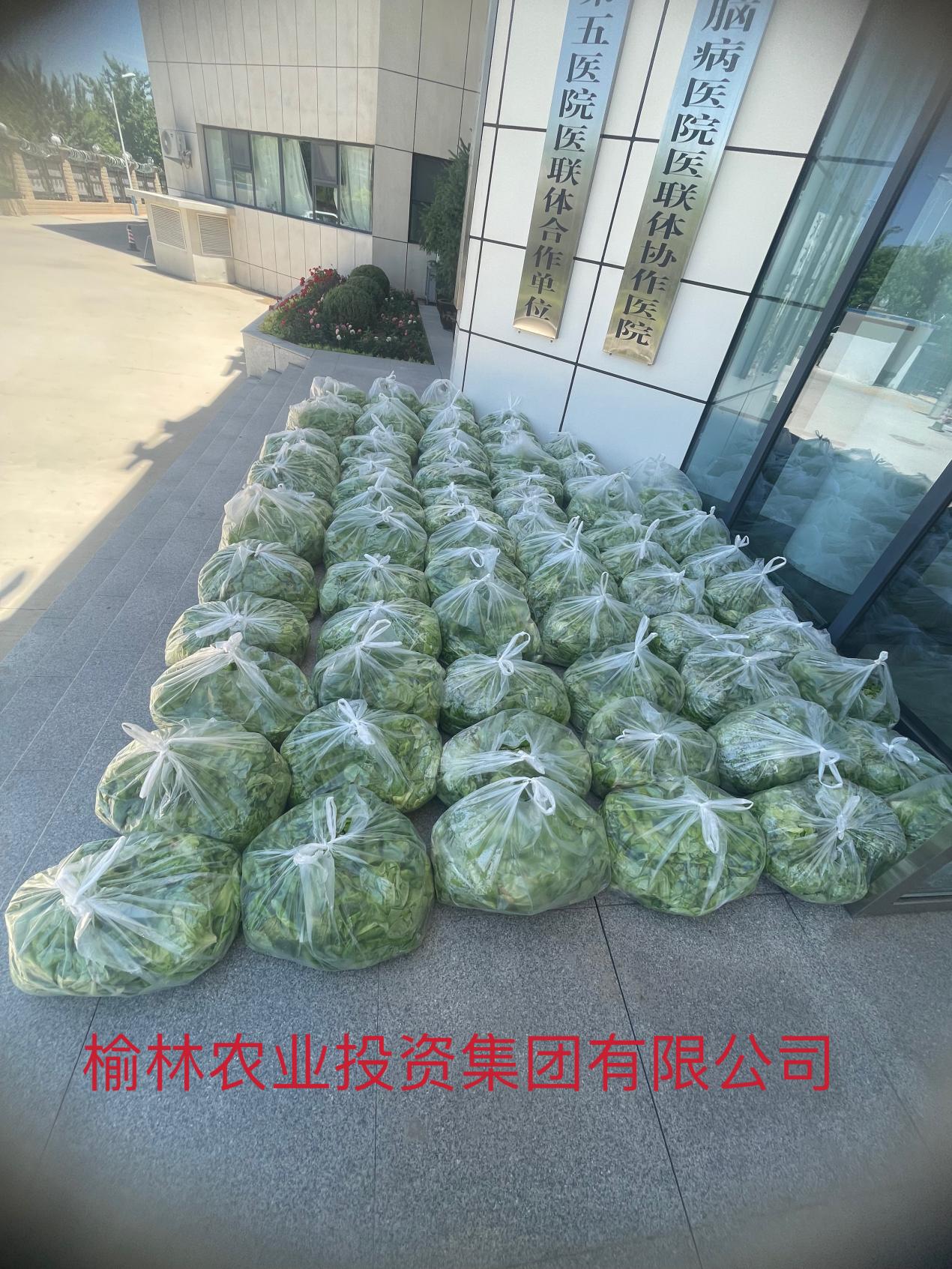 图片10.jpg